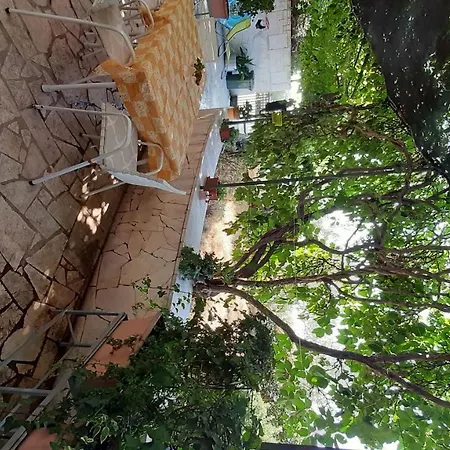 Zeljka Apartment Seget Vranjica