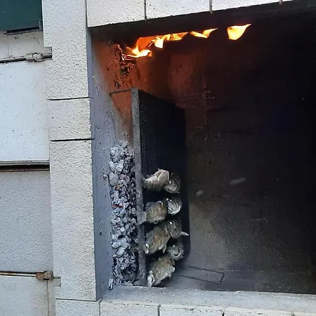 Zeljka * Seget Vranjica