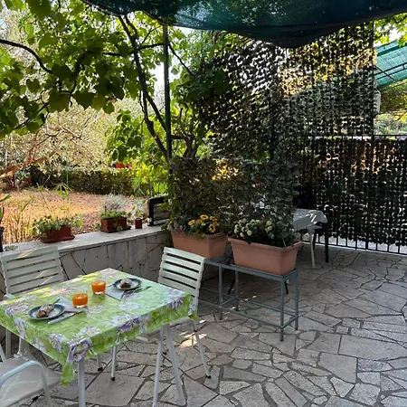 Apartmán Zeljka Seget Vranjica